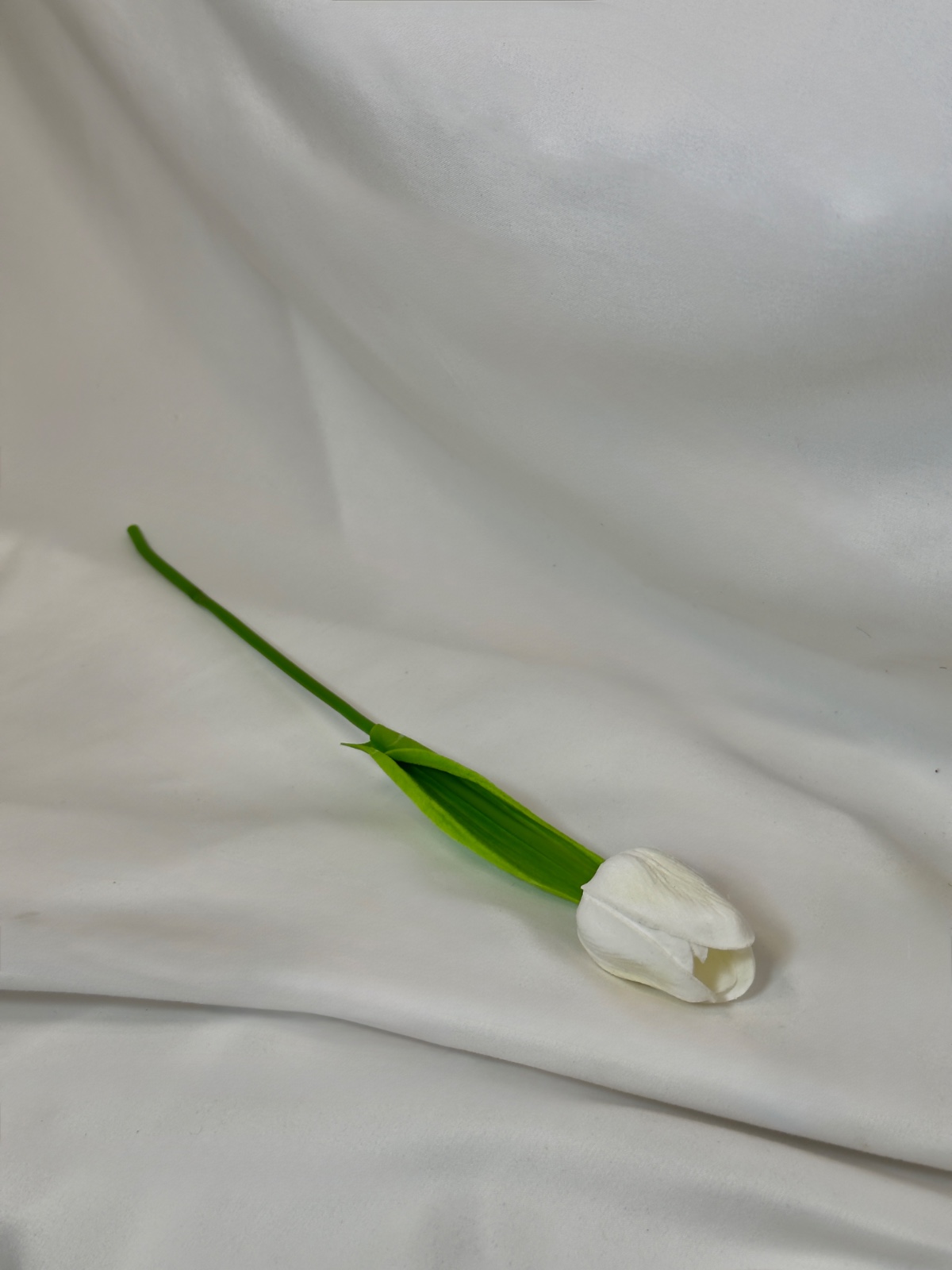 ხელოვნური კალა და ტიტა ფლორა ჰაუსისგან — photo 3
